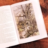 the-fellowship-of-the-ring-book-1-of-3-the-lord-of-the-rings