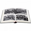 berlin-the-downfall-1945