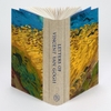 letters-of-vincent-van-gogh