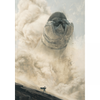 dune