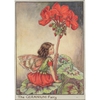 the-complete-flower-fairies