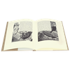 fine-press-classics-genesis-the-book-of-jonah-and-the-song-of-songs