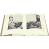 the-book-of-jonah