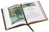 the-merry-adventures-of-robin-hood