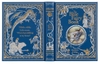 the-blue-fairy-book