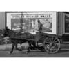 mystery-train-images-of-america-in-rock-n-roll-music