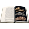 the-rise-and-fall-of-the-dinosaurs-the-untold-story-of-a-lost-world