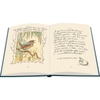 mr-rabbit-s-symphony-of-nature-and-other-tails