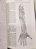 gray-s-anatomy