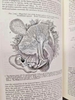 gray-s-anatomy