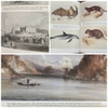 the-voyage-of-h-m-s-beagle