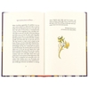 summer-a-folio-anthology