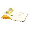 summer-a-folio-anthology