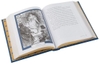 the-blue-fairy-book
