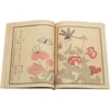 studies-from-nature