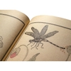 studies-from-nature