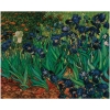 van-gogh-the-complete-paintings