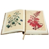 on-the-origin-of-species-limited-edition