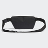 Túi đeo chéo Adidas Daily Waist Bag GE1113