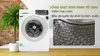 Máy giặt Electrolux 8kg Inverter EWF8025CQWA