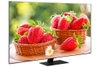 Smart Tivi QLED Samsung QA65Q80A 65 inch 4K
