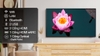 Smart Tivi QLED Samsung QA50Q60B 50 inch 4K