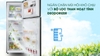 Tủ lạnh Samsung Inverter 236 lít RT22M4032BY/SV