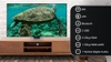 Smart Tivi Neo QLED Samsung QA55QN85B 55 inch 4K