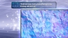 Smart Tivi QLED Samsung QA55Q80C 55 inch 4K