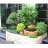 Thiết kế sân vườn