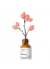 Dưỡng chất Dầu Tầm Xuân The Ordinary 100% Organic Cold-Pressed Rose Hip Seed Oil - 30 ml