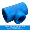 TÊ THU BLUE