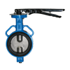 VAN BƯỚM – TAY GẠT / BUTTERFLY VALVE