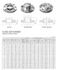 Mặt bích mù ansi 150