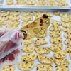 biscotti-hat-bang-healthy-200gr