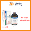 SGV Floxy 100ml