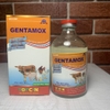 topcin-gentamox-100ml-01