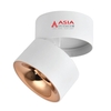 Đèn ống bơ nổi thân ngắn Asia vỏ trắng-xoay góc