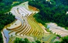 Hà Giang Mùa Nước Đổ – Vẻ Đẹp Nguyên Bản Gọi Mời Những Bước Chân Xê Dịch