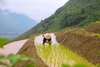 NGẮM H'MONG VILLAGE MÙA NƯỚC ĐỔ