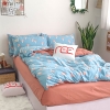 Bộ chăn ga gối cotton hoạt tính REE Bedding CHT14