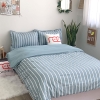 Bộ chăn ga gối poly cotton REE Bedding PLC05