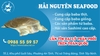 Đại Lý Phân Phối BaBa Thịt
