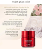 Kem Dưỡng AHC 365 Red Cream 50ML