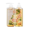 Sữa Dưỡng Thể The Face Shop Body Lotion 300ml