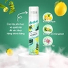 Dầu Gội Khô Batiste Instant Hair Refresh Dry Shampoo 200ml