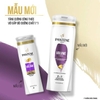 00-Dầu Gội Pantene Pro-V Volume & Body  2 In 1 Shampoo + Conditioner 355ml