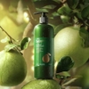 The Cocoon Dầu Gội Bưởi Pomelo Shampoo
