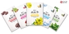 Mặt Nạ SNP Jeju Rest Mask