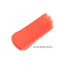 Son Thỏi Clio Melting Sheer Lips